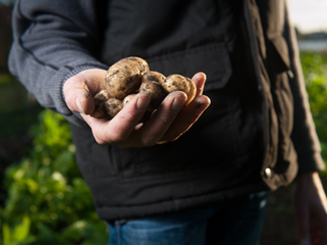 korte keten boer.jpg